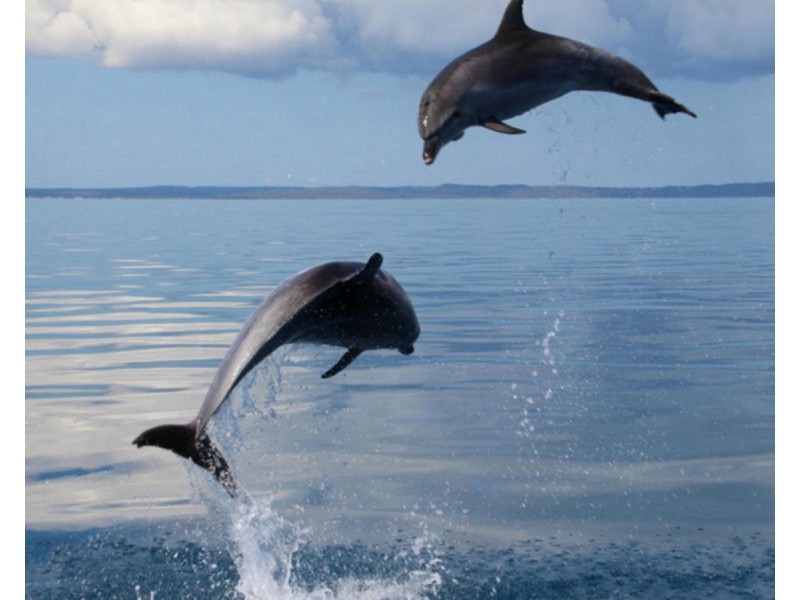 Lot 601 New Road, Dundowran QLD 4655