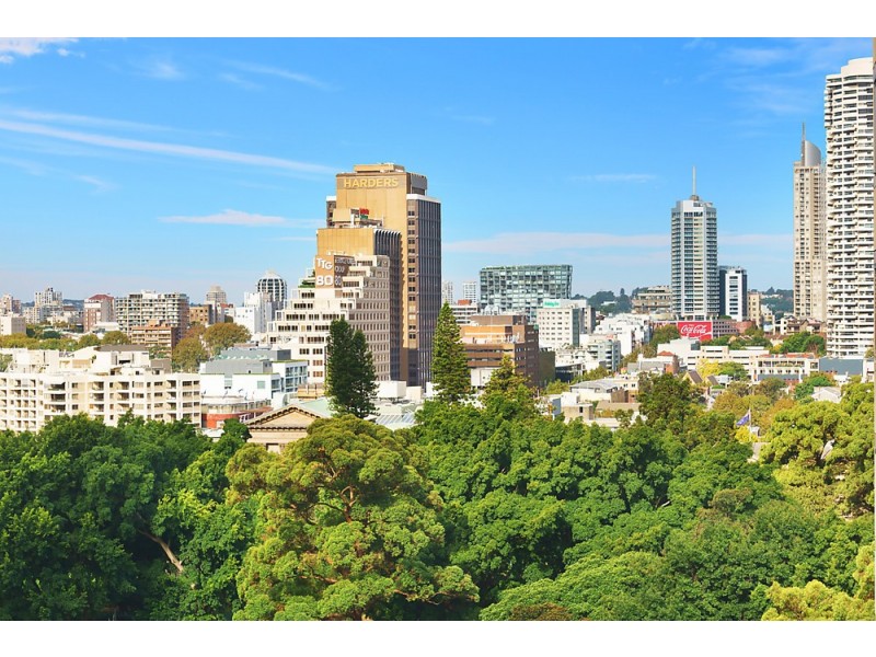 1302/209 Castlereagh Street, Sydney NSW 2000