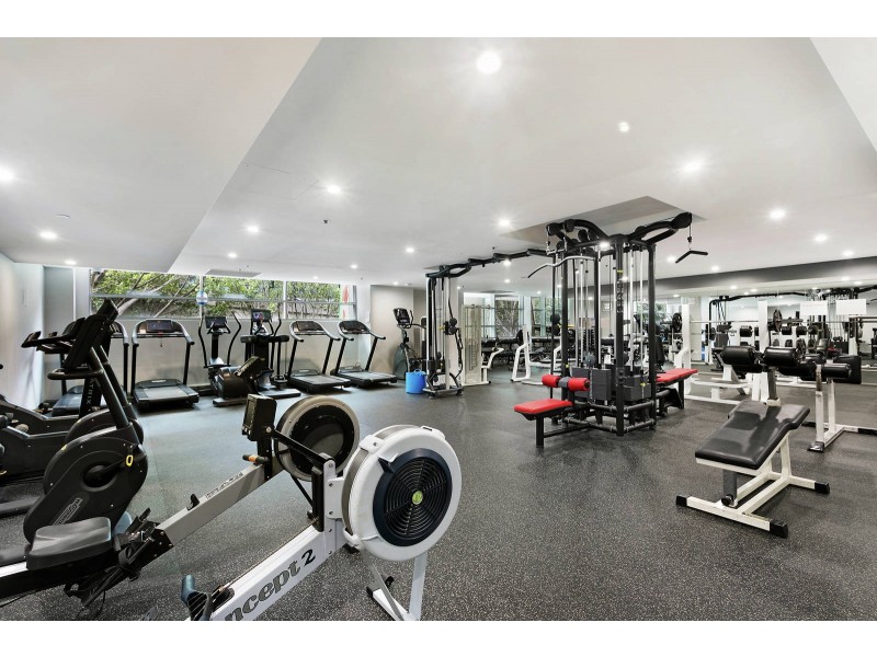 403/23 Shelley Street, Sydney NSW 2000