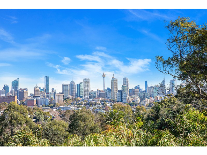 4/14 Thorne Street, Edgecliff NSW 2027