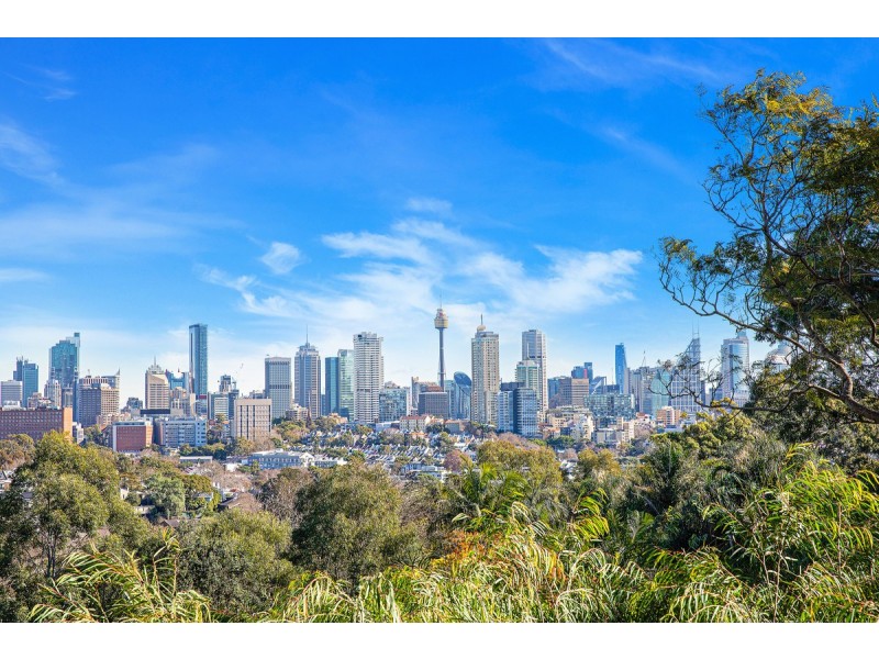 14 Thorne Street, Edgecliff NSW 2027