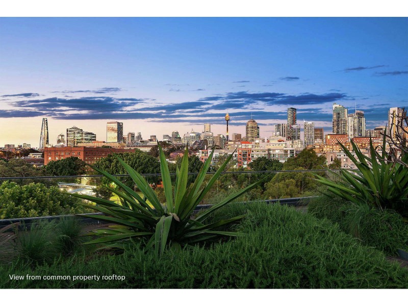 503/2F Wentworth Park Road, Glebe NSW 2037