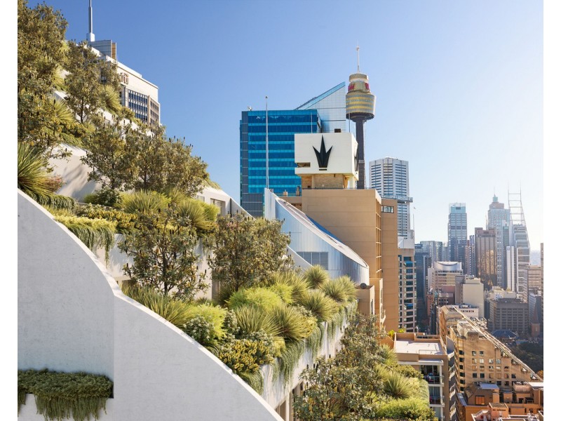 1302/116 Bathurst Street, Sydney NSW 2000