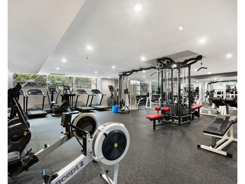 23 Shelley Street, Sydney NSW 2000