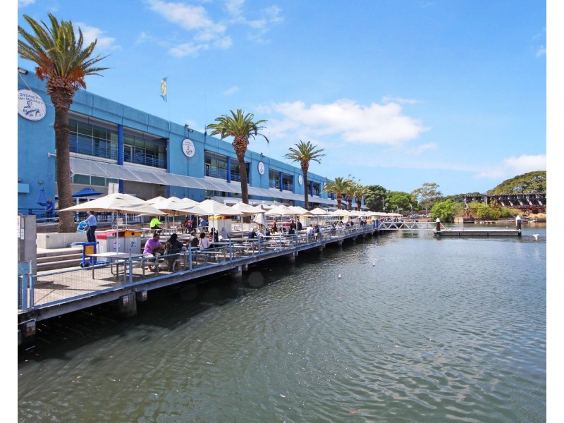 121/4 Elger Street, Glebe NSW 2037