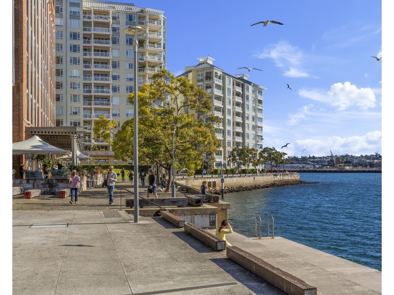 601/45 Bowman Street, Pyrmont NSW 2009