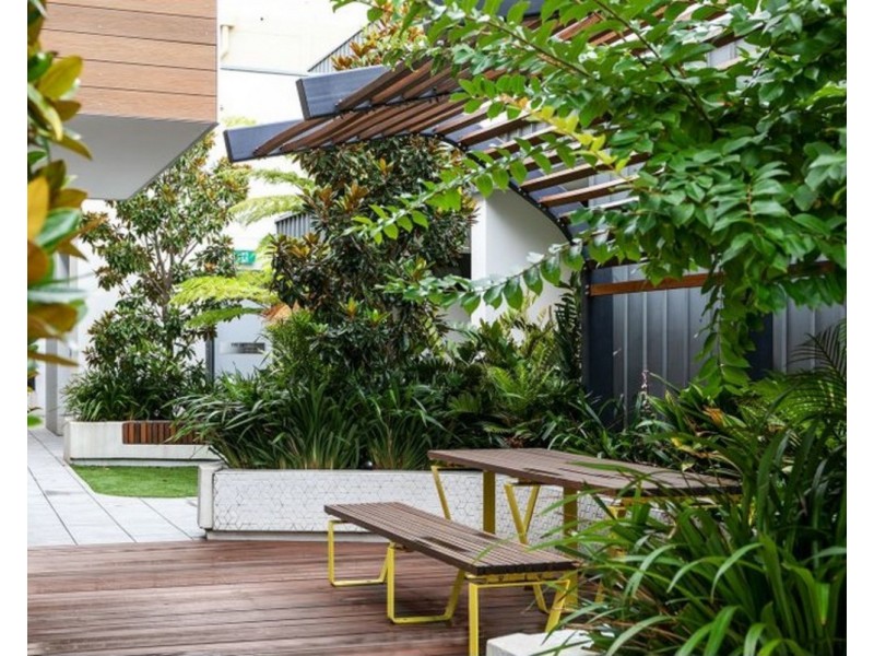 24 Gordon Street, Paddington NSW 2021