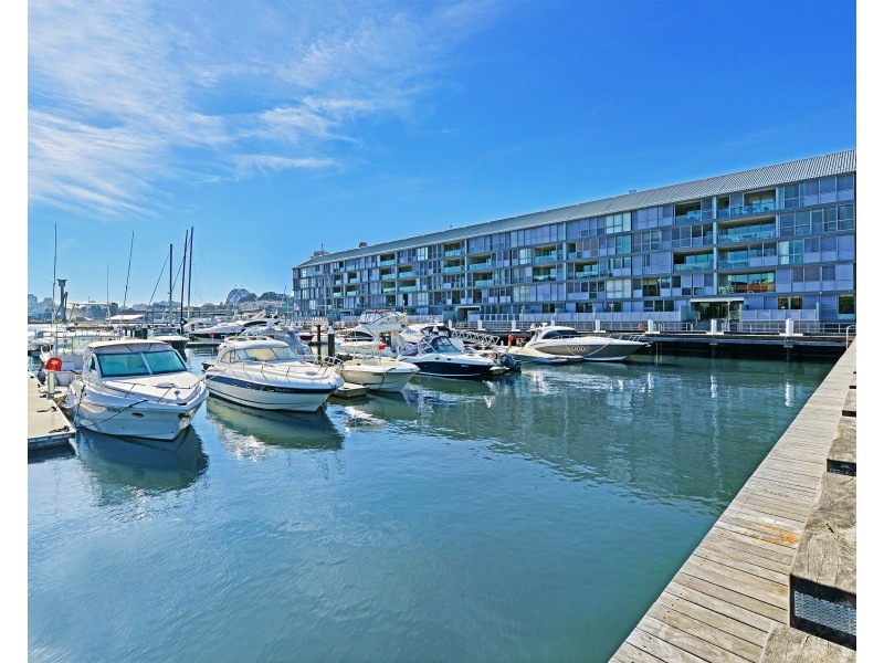 34/56 Pirrama Road, Pyrmont NSW 2009