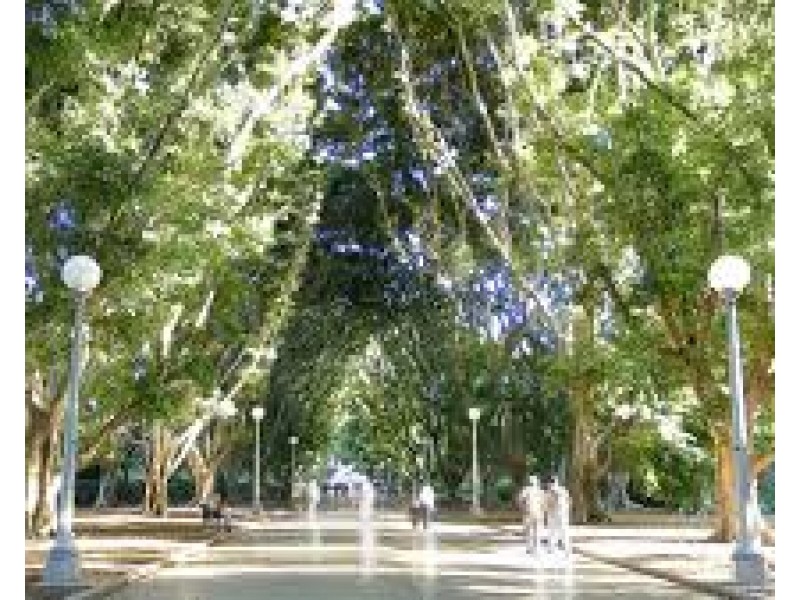 6/23 Bourke Street, Woolloomooloo NSW 2011