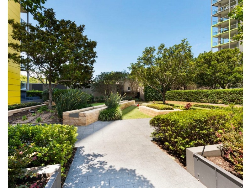 45 Bowman Street, Pyrmont NSW 2009