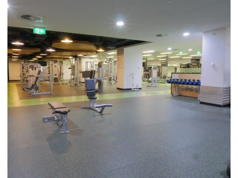 18 Park Lane, Chippendale NSW 2008