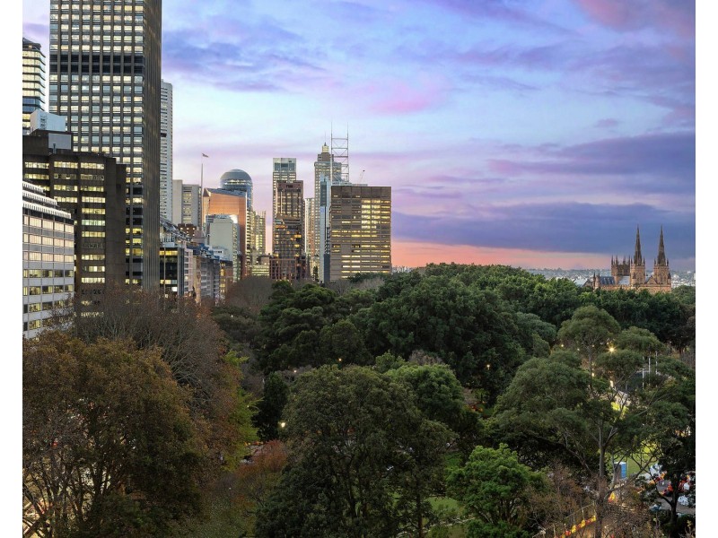 901/157 Liverpool Street, Sydney NSW 2000