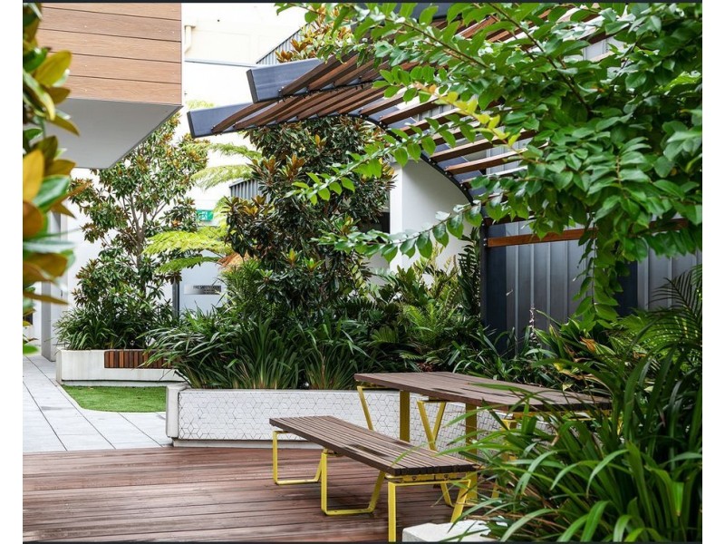 24 Gordon Street, Paddington NSW 2021