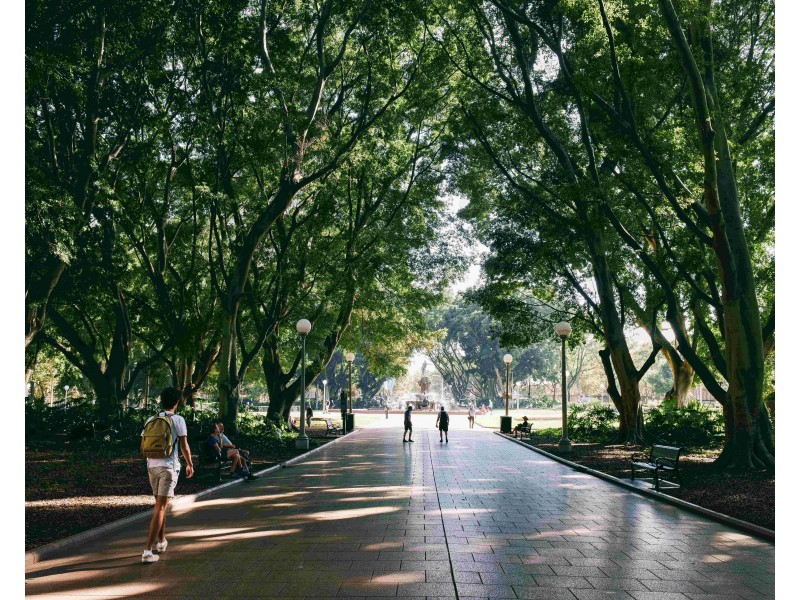 3507/343 Pitt Street, Sydney NSW 2000