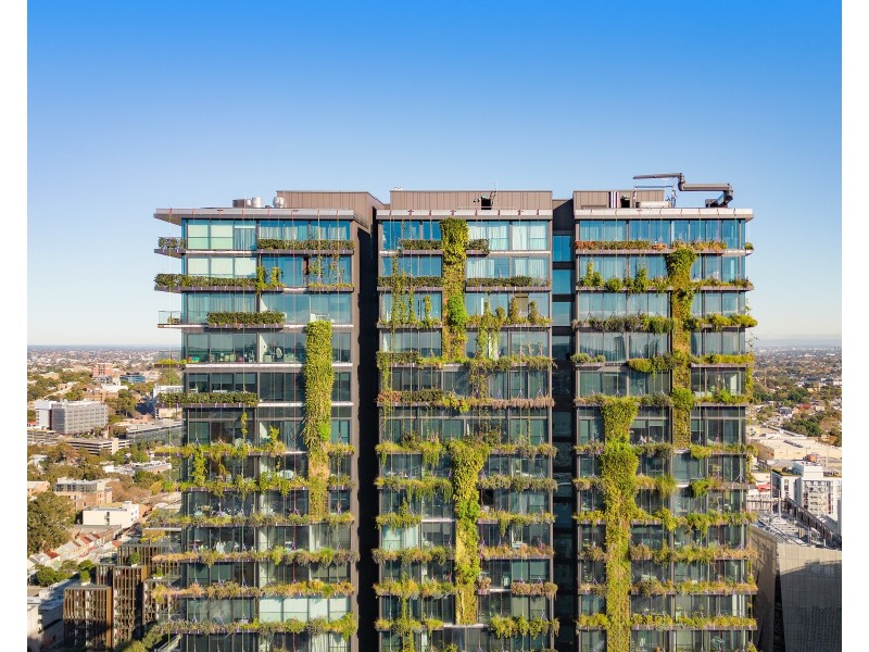 3003/1 Carlton Street, Chippendale NSW 2008