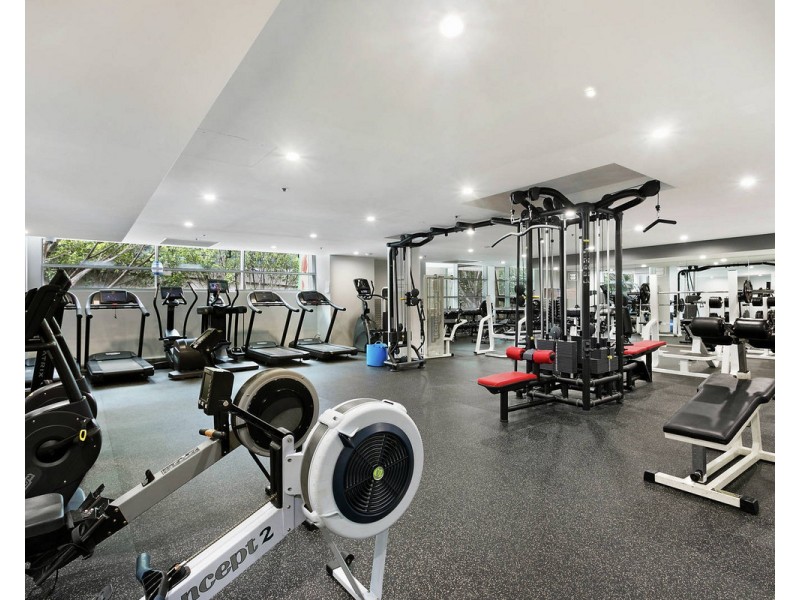 29 Shelley Street, Sydney NSW 2000