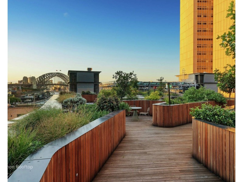 803/15 Young Street, Sydney NSW 2000