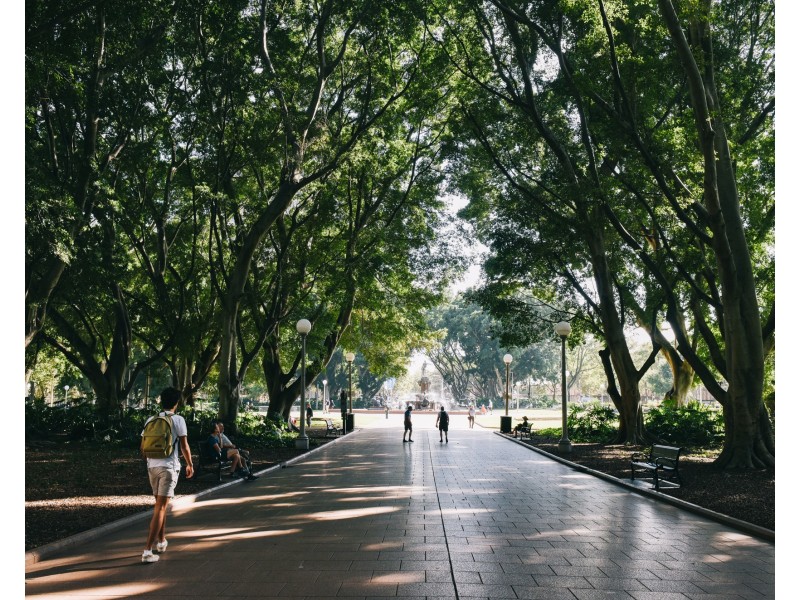 1704/281 Elizabeth Street, Sydney NSW 2000