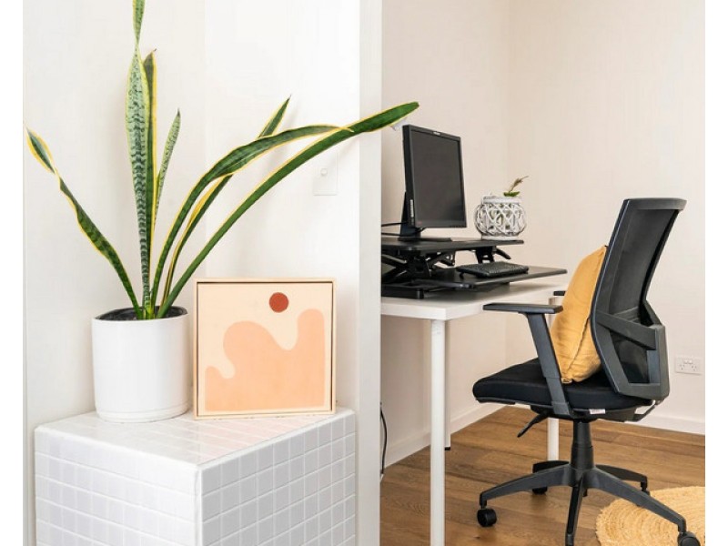 52 Alice Street, Newtown NSW 2042