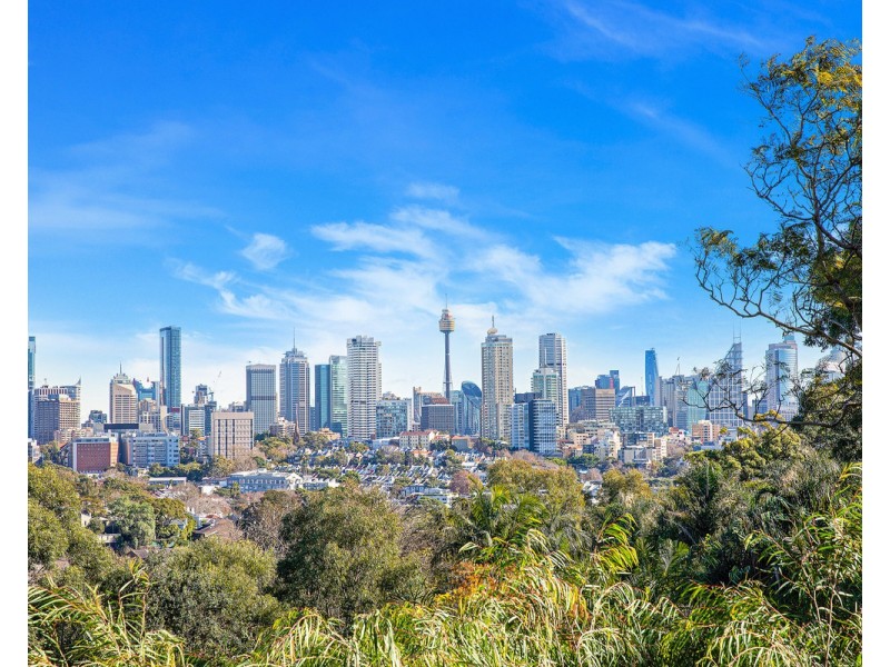 14 Thorne Street, Edgecliff NSW 2027