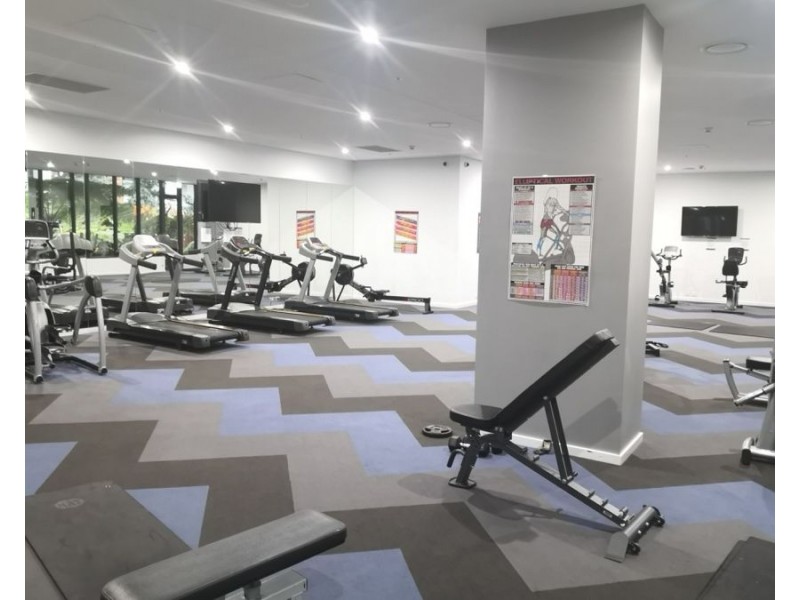 670/2 Gearin Alley, Mascot NSW 2020