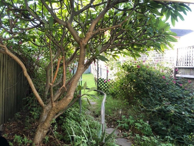 3 Darling St, Kensington NSW 2033