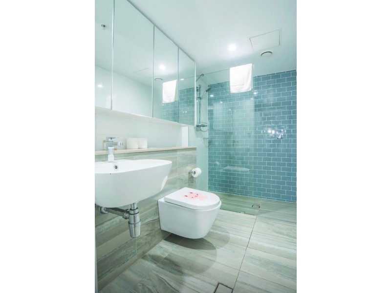 103/1 Gearin Alley, Mascot NSW 2020