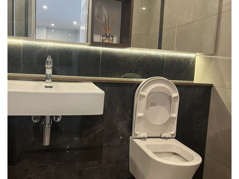 525/2 Canning St, Lidcombe NSW 2141