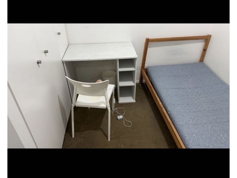 516/18 parklane, Chippendale NSW 2008