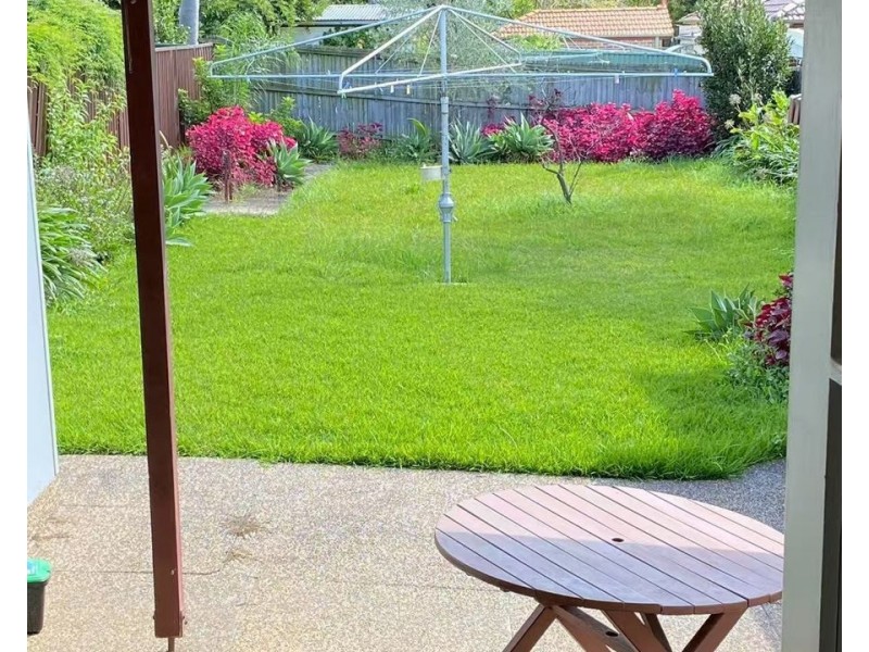 116 Alt Street, Ashfield NSW 2131