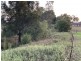 26 Dalwood Street, Greta NSW 2334