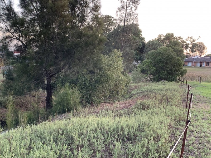 26 Dalwood Street, Greta NSW 2334
