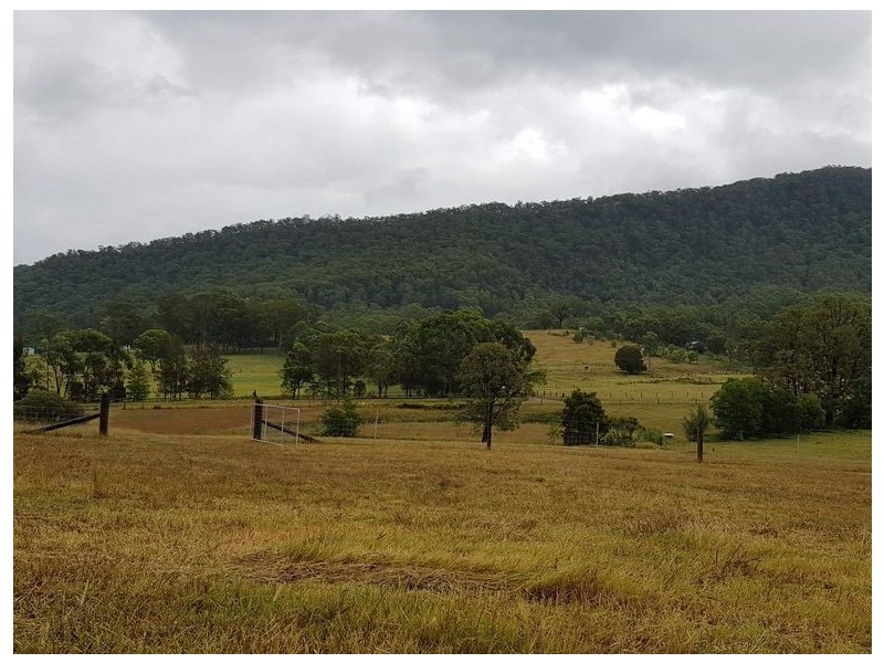 1559 Mt View Road, Millfield NSW 2325