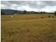 1559 Mt View Road, Millfield NSW 2325