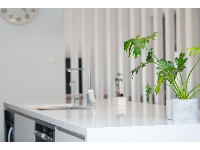 17 Kinnavane Road, North Rothbury NSW 2335