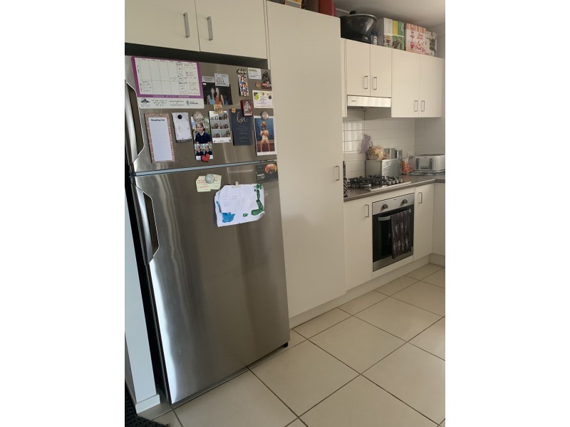 58 Zinfandel Circuit, Cessnock NSW 2325