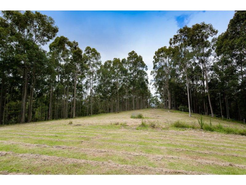 191 Eglinford Lane, Congewai NSW 2325