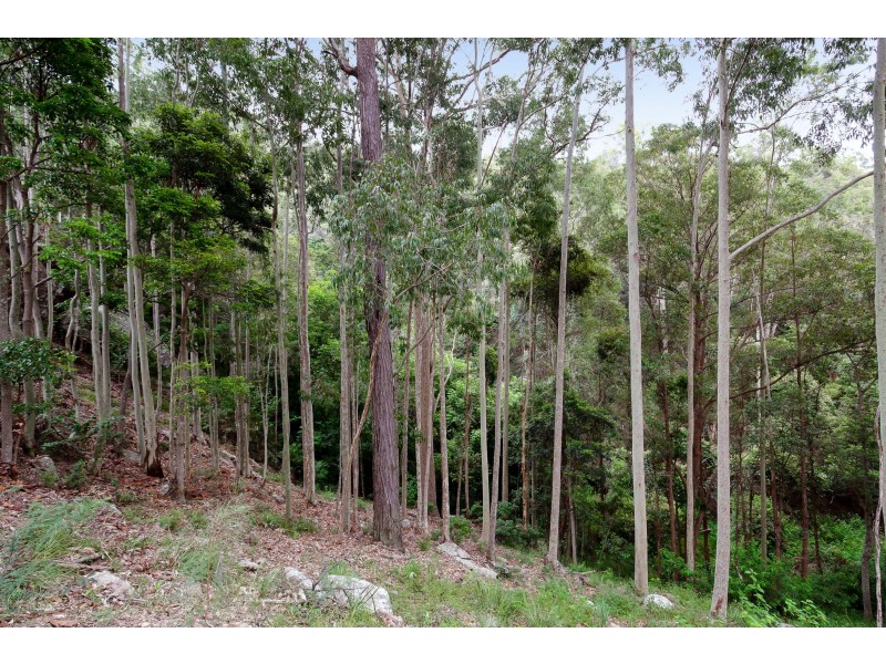 191 Eglinford Lane, Congewai NSW 2325