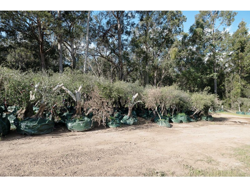 153 Eglinford Lane, Congewai NSW 2325
