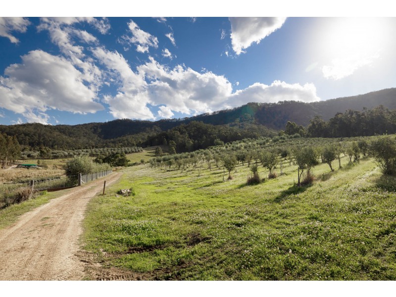 153 Eglinford Lane, Congewai NSW 2325