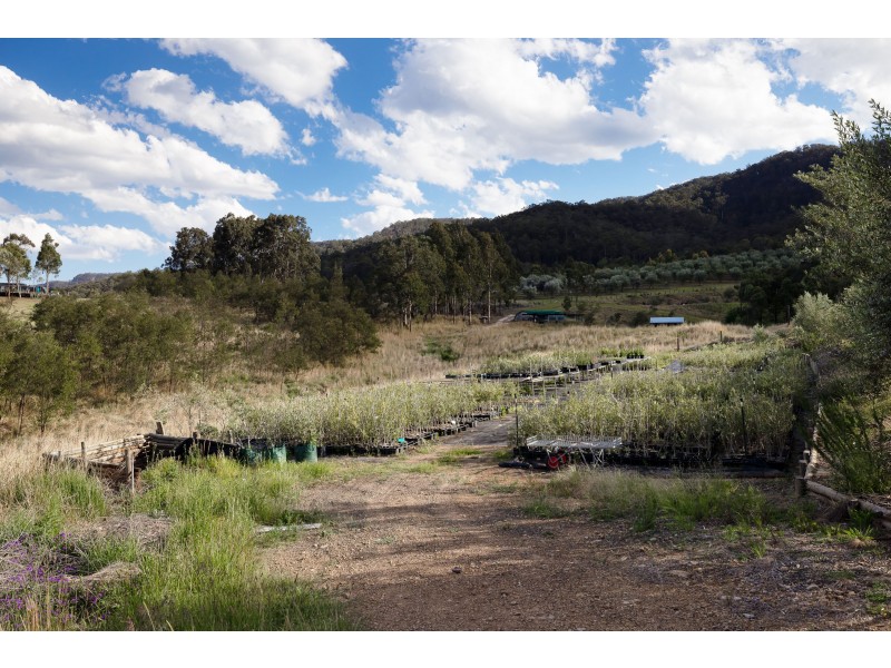 153 Eglinford Lane, Congewai NSW 2325