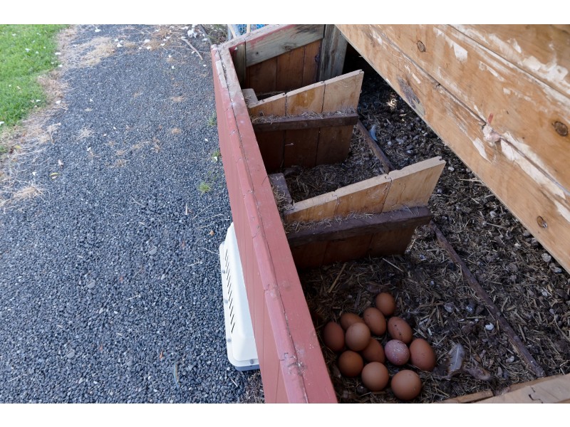 153 Eglinford Lane, Congewai NSW 2325