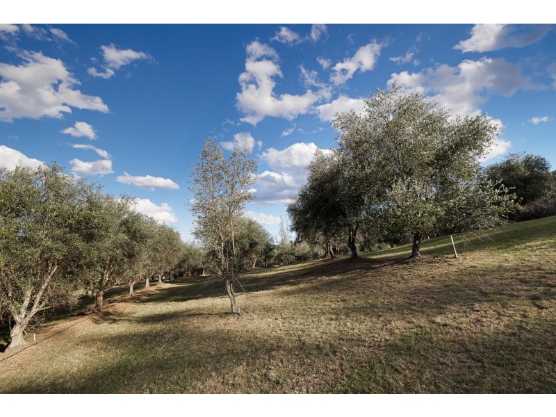 153 Eglinford Lane, Congewai NSW 2325