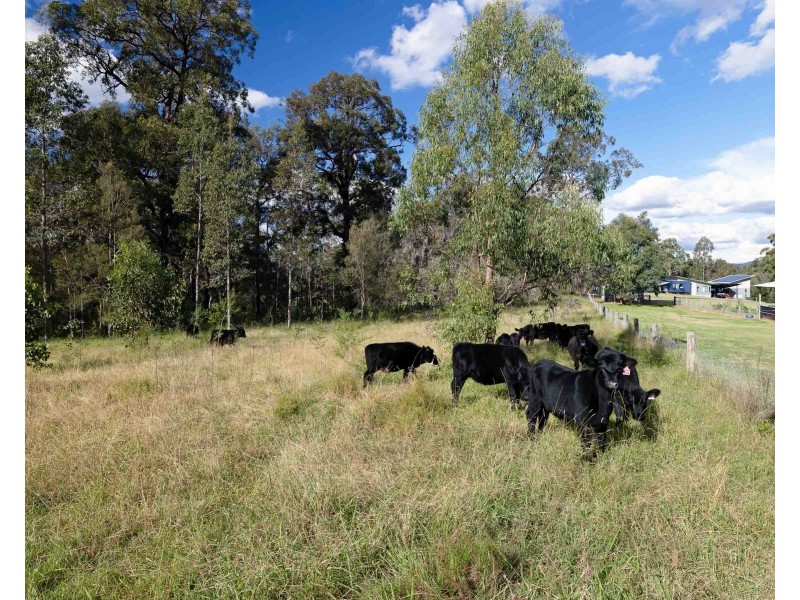 210 Hayes Road, Millfield NSW 2325