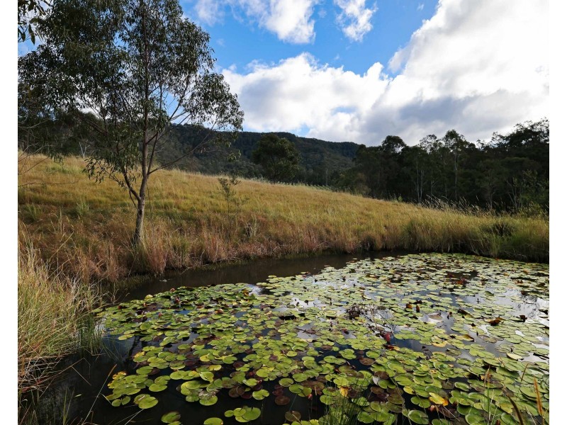 121 Eglinford Lane, Congewai NSW 2325