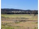 Millfield NSW 2325