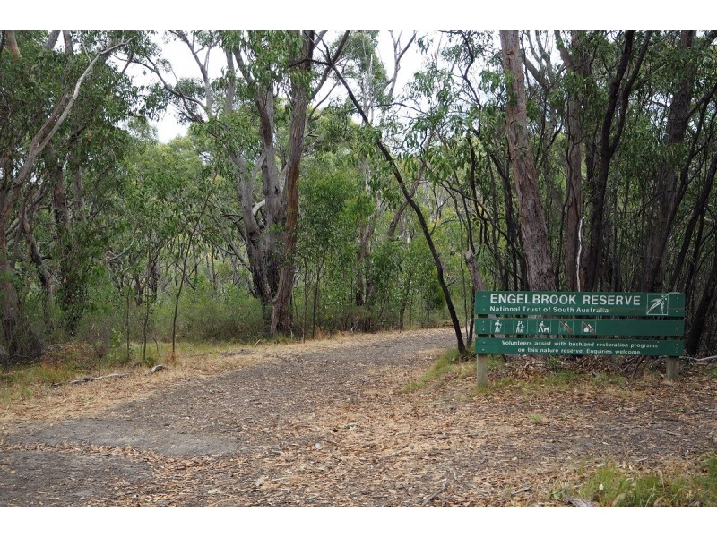 3 Wattle Street, Bridgewater SA 5155