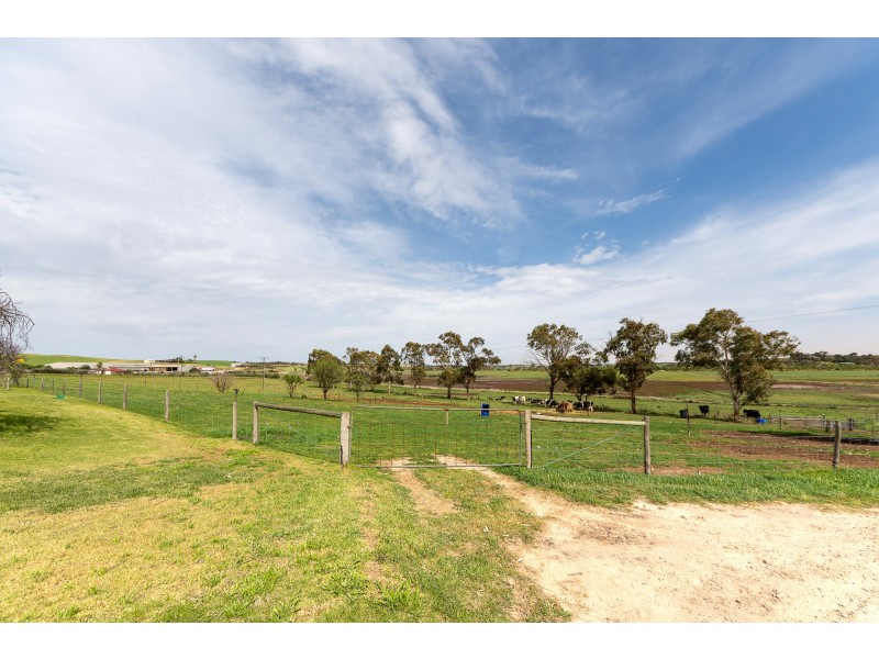 Murray Bridge SA 5253