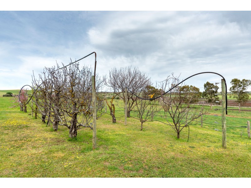 Murray Bridge SA 5253