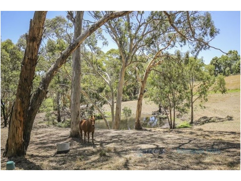 78 Old Mount Barker Road, Echunga SA 5153